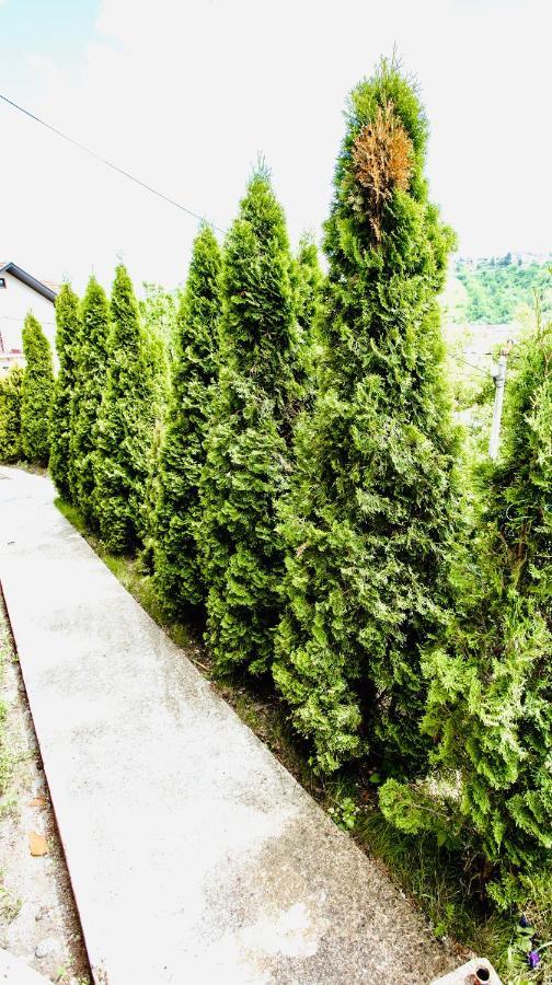 Apartmani In Zlatar Nova Varoš Eksteriør bilde