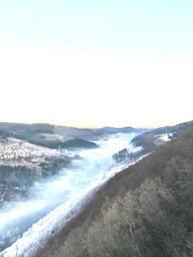 Apartmani In Zlatar Nova Varoš Eksteriør bilde