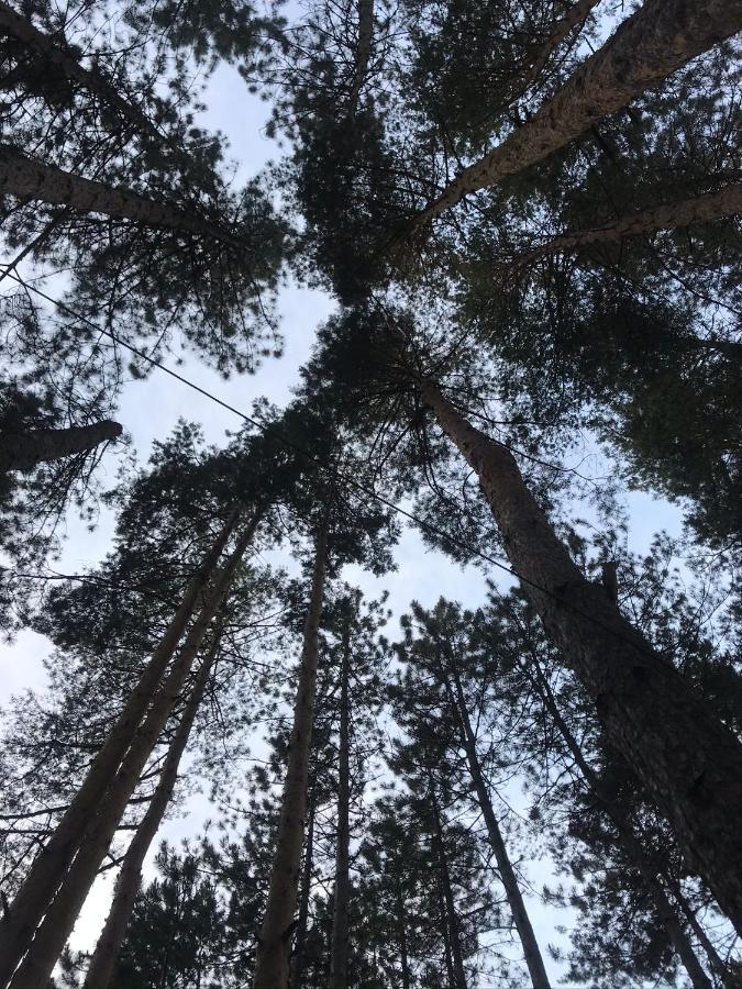 Apartmani In Zlatar Nova Varoš Eksteriør bilde